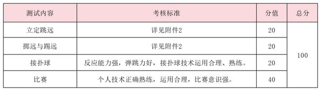 掌闻视讯
